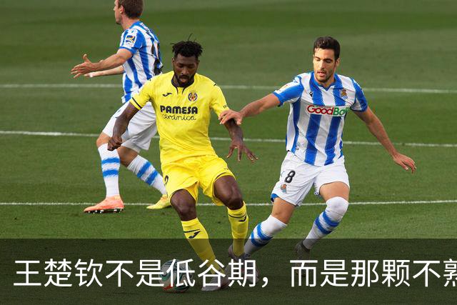 王楚钦不是低谷期，而是那颗不熟悉的乒乓球！