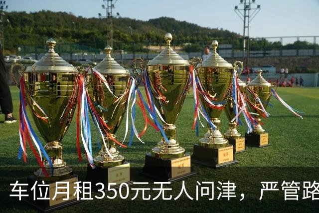 车位月租350元无人问津，严管路却停满车！业主：只能骑电鸡出入？佛山这个小区旁“免费停车”乱象怎么解